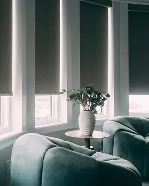 Motorized & Manual Shades