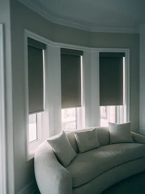 Roller Shades