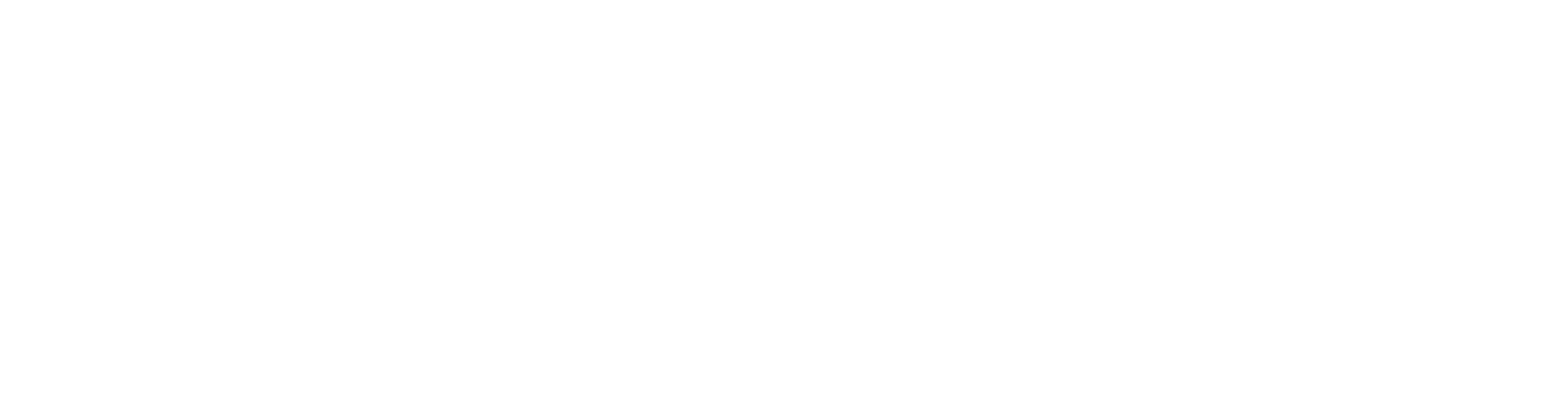 Zingas Logo