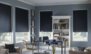 Blackout Blinds and Shades 1