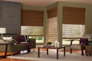 Blackout Blinds and Shades 2