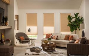 Blackout Blinds and Shades 7