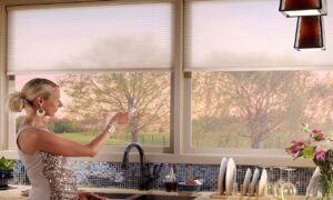 Cellular Blinds 25
