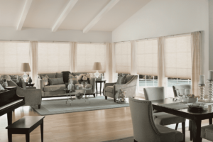 Cellular Shades 1