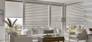 Horizontal Sheer Shades 16
