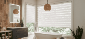 Horizontal Sheer Shades 17