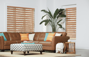 Horizontal Sheer Shades 6
