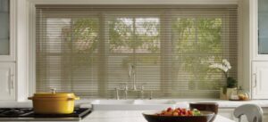 Mini Blinds 1