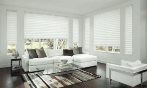 Motorized Blinds 8