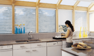 Motorized Shades 10