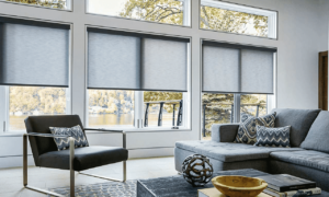 Motorized Shades 2