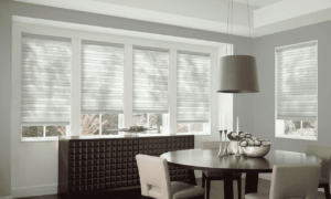 Motorized Shades 7