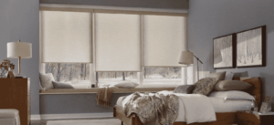 Roller Shades 11
