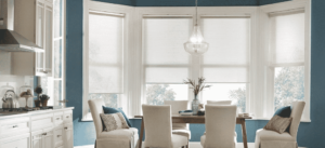 Roller Shades 15