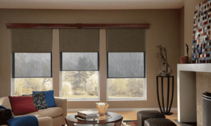Roller Shades 16