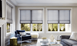 Roller Shades 18