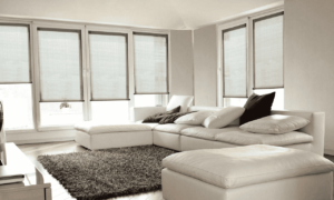 Roller Shades 19