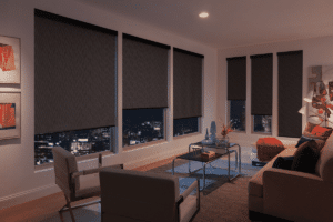 Roller Shades 2