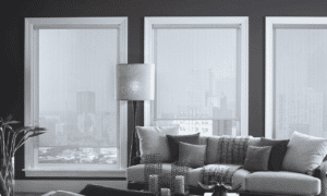 Roller Shades 20
