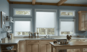 Roller Shades 22