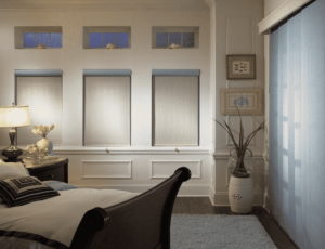 Roller Shades 3