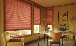 Roman Shades 12