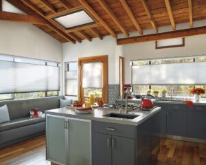 Skylight Windows 1
