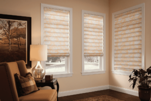 Soft Roman Shades 1