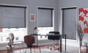 Solar Shades 2