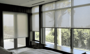 Solar Shades 4