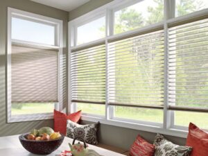 Vinyl Blinds 1