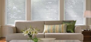 Window Shadings 10