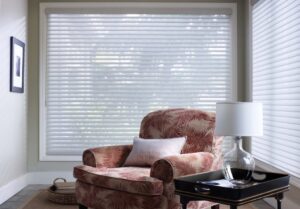 Window Shadings 6