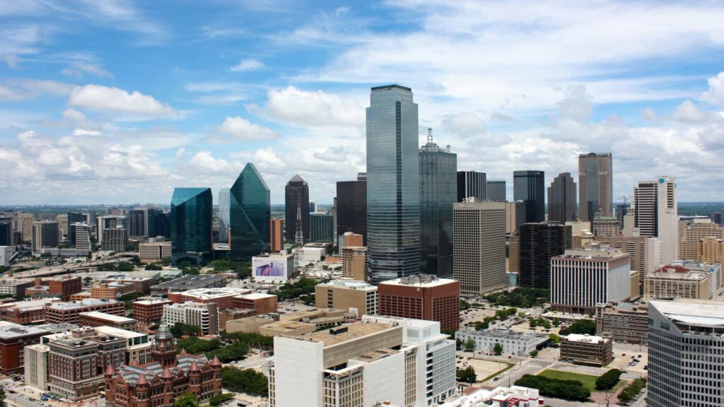 Zingas Dallas