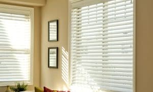 Window Blinds Tampa