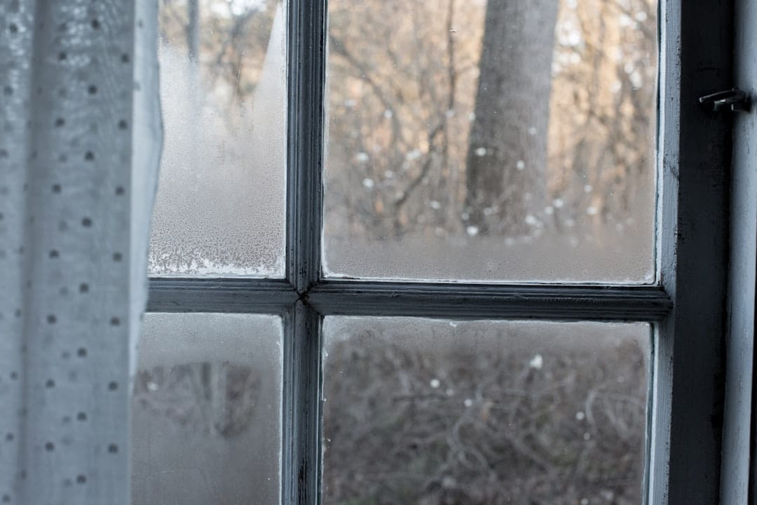 Everything You Need to Know About Window Treatment Options 1 window treatments